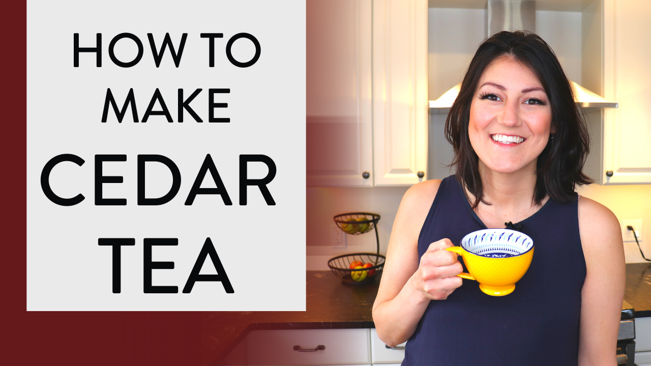 How to make CEDAR TEA ☕️( From TREE to Tea in 5 simple steps) 🌲