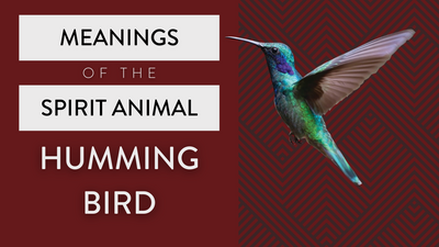 Meanings of the Spirit Animal: The Hummingbird