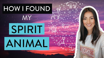 How I found my Spirit Animal 🦅 (How you can find YOUR Native Spirit Guide / Animal)