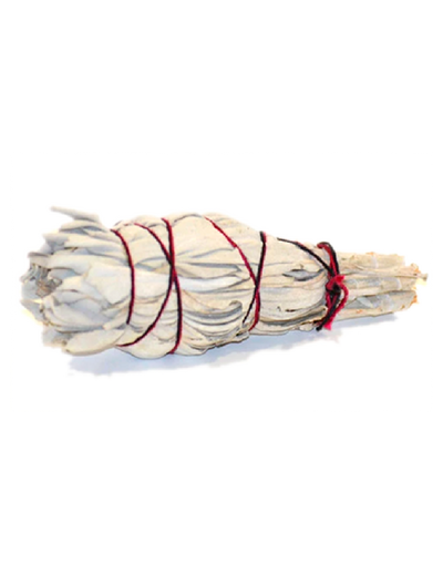 10 Pack of Sage (Small 4")