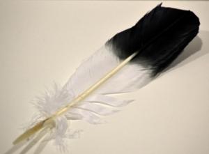 Smudging Feather - Eagle (Imitation)