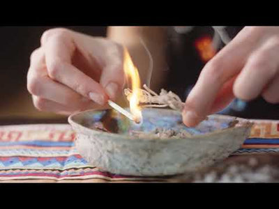 Smudge Kit with Sage & Feather